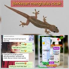 Berikut langkah demi langkah cara untuk keluarkan duit daripada lazada wallet. Spray Penghalau Serangga Cicak Dan Tikus Insect Rat And Lizard Repellent Natural Pesticides Shopee Malaysia