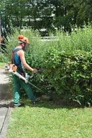 Der lehrgang ist somit die ideale vorbereitung auf die sachverständigentätigkeit. Aufgaben Unseres Garten Und Landschaftsbaus