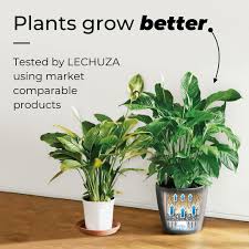 Lechuza Orchidea Scarlet Red Matt Poly Resin Table Self Watering Planter With Substrate D18 H19 5 Cm From 17 99 Getpotted Com Кашпо настольное lechuza лечуза orchidea, с автополивом, с субстратом в комплекте, ш18,3 х г17,9 х в19,9 см, серое, 1 литр. lechuza orchidea scarlet red matt poly resin table self watering planter with substrate d18 h19 5 cm