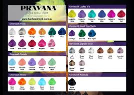 Pravana Chroma Silk Hair Color Chart Www Bedowntowndaytona Com