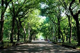 Central park, new york city. Central Park Newyork De