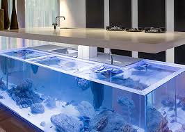 Not only do we sell fish livestock and tanks, we go the extra mile! Robert Kolenik S Stylish Aquarium Is Actually A Kitchen Island 6sqft