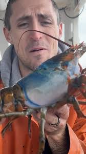 Jacob Knowles (@jknowles831) • Instagram-Fotos und -Videos