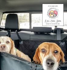 City of Elderly Love