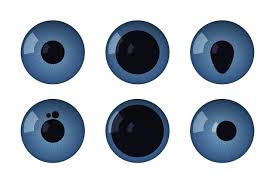 Image result for Mydriasis