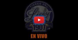 Lidom Transmision En Vivo Beisbol Invernal Dominicano Ligadom Com