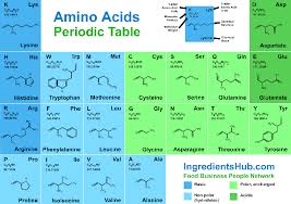 Amino Acids Periodic Table Amino Acids Food Industry