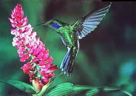 Say Moslem On Twitter Nature Wallpaper Nature Travel Nature