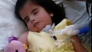 Fundraiser by Dan Ellsworth : The Mia Amore Fund