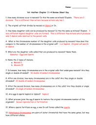32 102 The Process Of Cell Division Worksheet Answers Worksheet Resource Plans