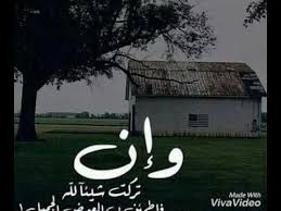 تهت بك Youtube