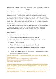 Model plan de afaceri explicat in detaliu. Molipsitor Coborare ViÈ›el Model Plan De Afaceri Restaurant Organizarea Productiei Justan Net