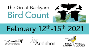 Check spelling or type a new query. 2021 Great Backyard Bird Count Santa Barbara Audubon Society