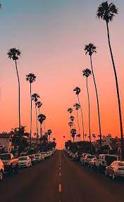 You can also upload and share your favorite desktop aesthetic wallpapers. Summer Iphone Aesthetic Backgrounds 736x1202 Wallpaper Teahub Io