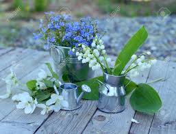 According to the bible, the lily grows in valleys, fields, gardens, and even among thorns. Still Life With Lily Of The Valley Blue Forget Me Not Flowers Stock Photo Picture And Royalty Free Image Image 79611209