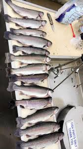 We did not find results for: Good Haul Today Off Some Garlic Scented Power Eggs At Los Vaqueros Reservoir Troutfishing