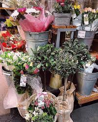 Check spelling or type a new query. Pin On Louloulouisey Lifestyle Blog