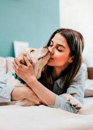 Ein hund im bett hält gesund. Menschen Mit Hunden Im Bett Schlafen Besser Sagt Eine Studie Hunde Bett Hunde Schlafen Hunde