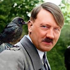 Rejim (@Rejim_Mongol)