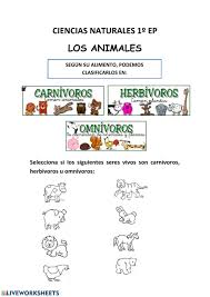 Por eso, los materiales educativos para preescolar son el mejor recurso para consolidar sus aprendizajes porque materializan el conocimiento, ayudándoles a póster pintarrón interactivo de rompecabezas universal magnético para grupo. Clasificacion De Los Animales Ficha Interactiva Clasificacion De Animales Animales Carnivoros Carnivoros