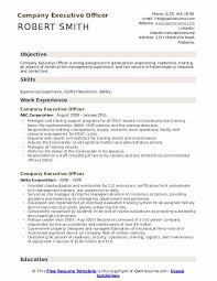 company executive officer resume