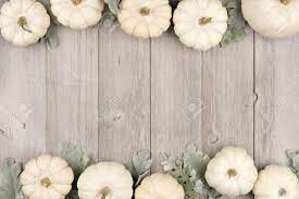 Sunflower seeds and pepitas assorted on a small serving pan on marble background. Autumn Double Border Of White Pumpkins And Silver Leaves Over Stock Photo Picture And Royalty Free Image Image 87595526
