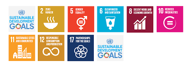 Practical suggestions from the unece ces second data flow pilot study (france) eng: Agenda For Sustainable Development Paho Who Pan American Health Organization