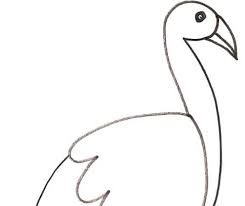 Come disegnare gli occhi circolo darti scuola disegno e. Disegno Di Airone Agami Da Colorare Cose Per Crescere