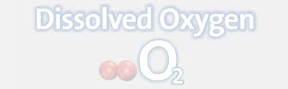 Aeration of water that has tumbled over falls and rapids; Buy Aquasol Ae Do8 Oxygen Test Kit Online At Low Prices In India Amazon In