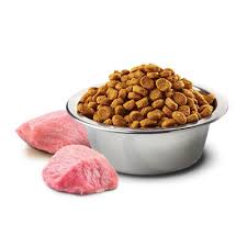 Nd Kuzu Etli Yaban Mersinli Kedi Mamasi 5 Kg Markamama Com Tr