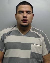 Man gets 14 months for drug smuggling