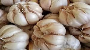 Jika dimakan mentah, bawang putih memiliki rasa getir dan menyengat di mulut. Khasiat Bawang Putih Untuk Mengobati Demam Dan Pilek Jurnal Presisi