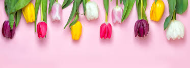 Here you'll find happy easter wishes that symbolizes happy and joyful easter to wish your friends and family. Easter Wishes Card Messages Your Complete Guide