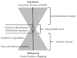 Top down vs bottom up. Forests Free Full Text Challenges And Opportunities Of Aligning Forest Function Mapping And The Ecosystem Service Concept In Germany Html