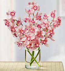 The postal service is an essential government service, and will remain open wherever possible. Can You Grow Your Easter Lily Outdoors Cymbidium Orchids Flowers For Everyone Orchid Arrangements