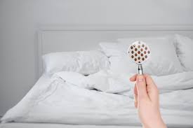 When explaining to potential customers the general process of removing bees, many become perplexed when they realize that the location of the honeybee hive makes it impossible to cut out the. Prevent Identify Eliminate Bed Bugs On A Mattress Terminix