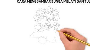 Cara menggambar sketsa bunga tulip cukuplah mudah. Cara Menggambar Bunga Melati Dan Tulip Nawa Art Youtube