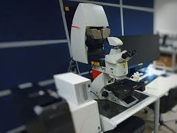 Leica Sp8 Up2 Biop Epfl