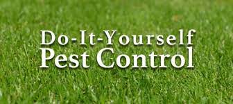 Maybe you would like to learn more about one of these? The Best Do It Yourself Pest Control Option