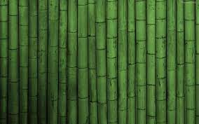All high quality phone and tablet hd wallpapers on page 1 of 3 are available for free download. Bamboo Wallpaper Green Wallpaper Wallpaper Pictures