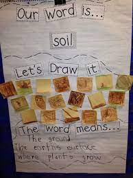 Chalk Talk A Kindergarten Blog What S The Dirt On Soil Teaching Vocabulary Vocabulary Activities Kindergarten Science