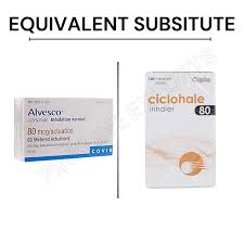 Image result for Inhaled Ciclesonide