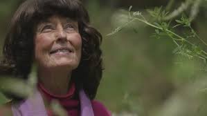 Meg Bard Live at Nowhere