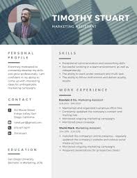 All of these professional cv templates are well designed and very easy to customize or edit. Free Professional Resume Templates To Customize Canva