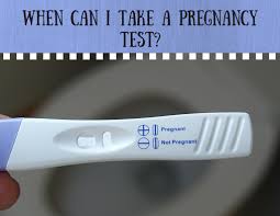 Analytica Pink Pregnancy Test Kit Review Pregnancy Test Kit Cost