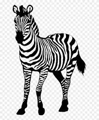 All zebra clip art are png format and transparent background. Zebra Png Pic Zebra Clip Art Png Transparent Png 625x934 162454 Pngfind