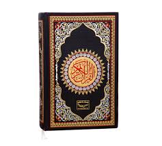Dany Digital Quran Ak 555 Price In Pakistan