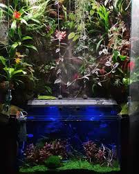 Riparium Complete Care Guide How To Build Bantam Earth Fish Tank Aquarium Aquascape Design
