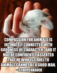 Quote Children Animals Google Search Animal Quotes Compassion Animals