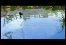 Together they learn the secret of their wings and try to unite the warm fairies and the winter fairies to help pixie hollow. Secret Of The Wings 2012 Disneytoon Studios Free Download Borrow And Streaming Internet Archive